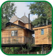 Unique Green glamping cabin on stilts